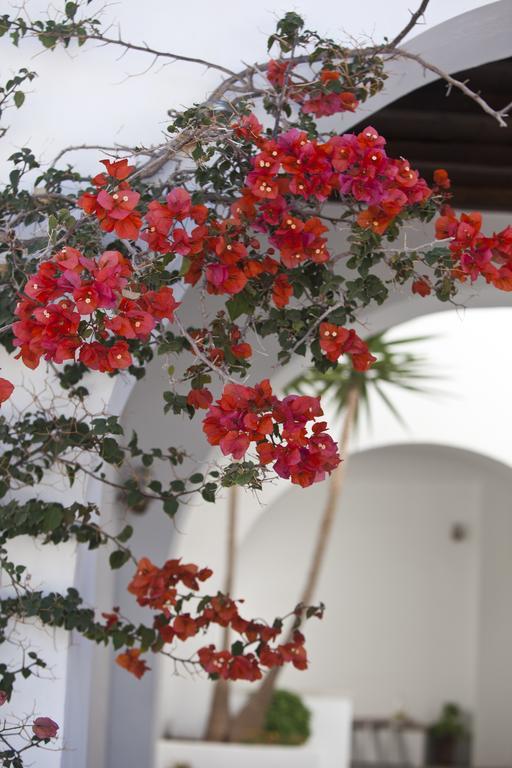 Elisso'S Philoxenia Aparthotel Agios Prokopios  Exterior foto